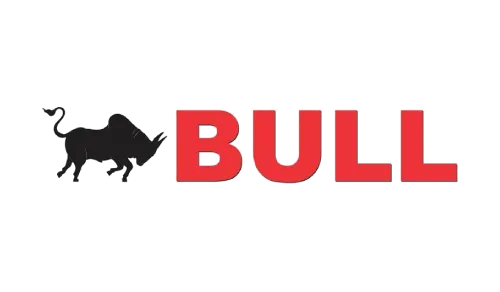 Bull India