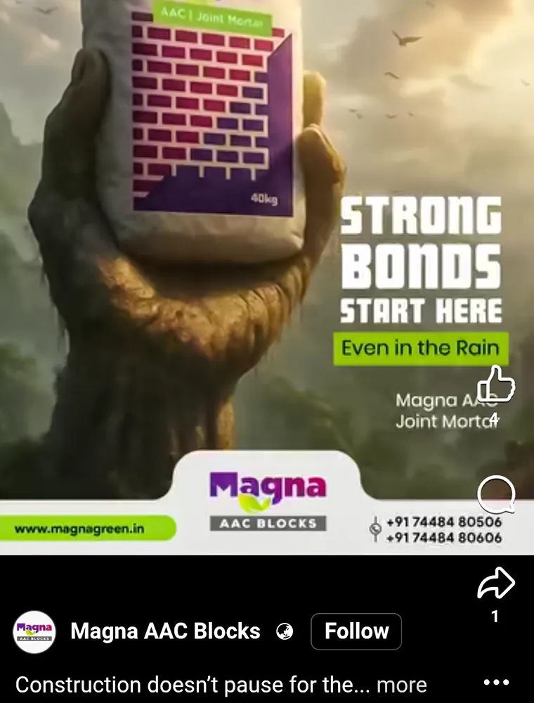 Magna AAC Blocks Facebook Ads